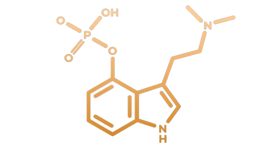 Psilocybine molecuul bij gebruik sessie